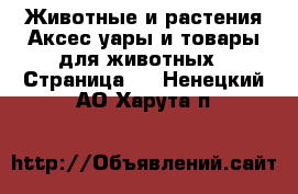 Животные и растения Аксесcуары и товары для животных - Страница 3 . Ненецкий АО,Харута п.